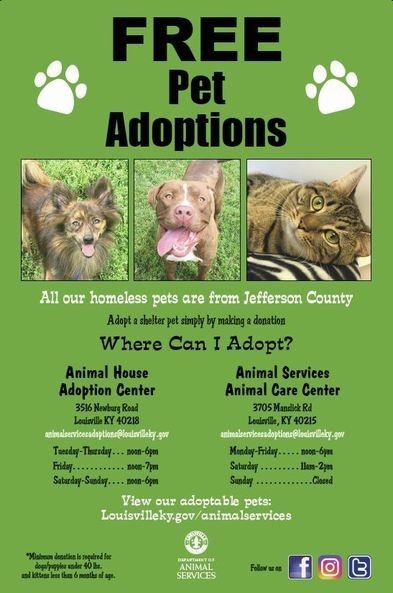Pet Adoptions