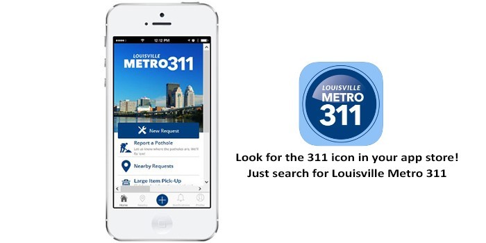 Metro 311 image