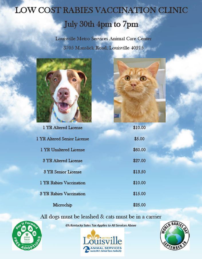 Rabies clinic flyer
