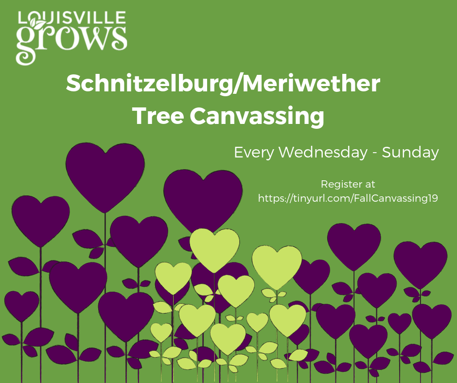 tree canvassing