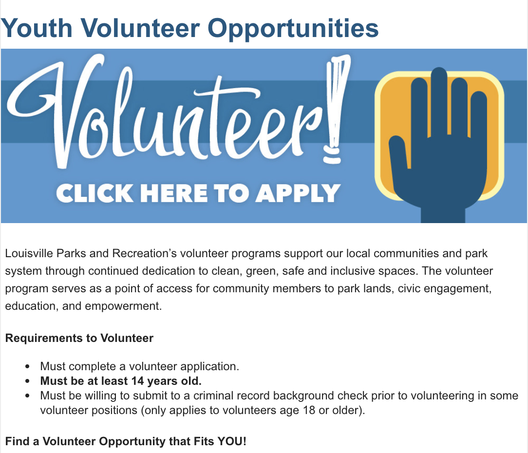 youth volunteer opportunity