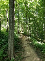 Cherokee park trail