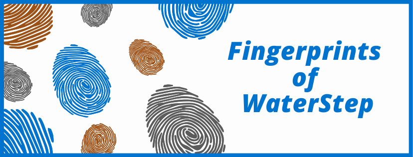 fingerprint
