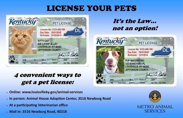 Pet licensing poster