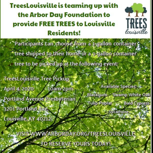 trees