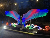 Zoo wild lights photo