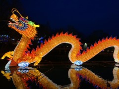 zoo wild lights photo