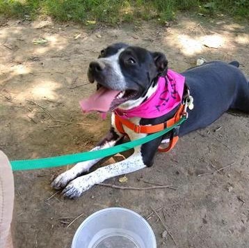 Bubbles the good girl