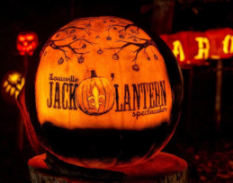 Jack O lantern spectacular photo