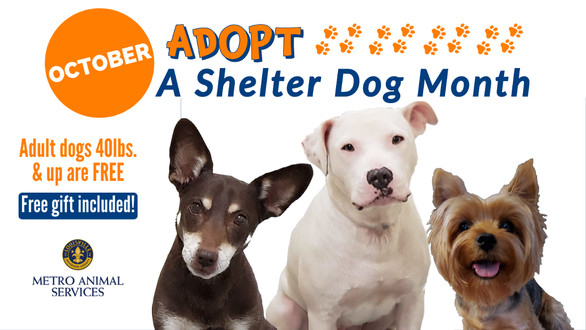 LMAS adopt a shelter pet