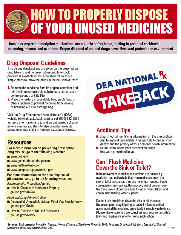 Drug Disposal Guidelines Flyer