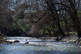 Beargrass Creek photo