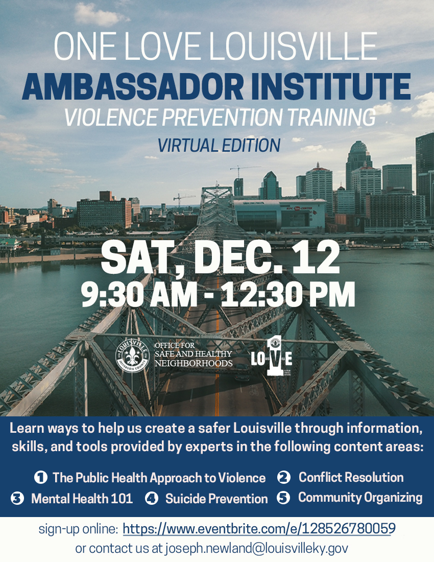 Virtual Ambassador Institute Flyer