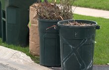 yard waste collection