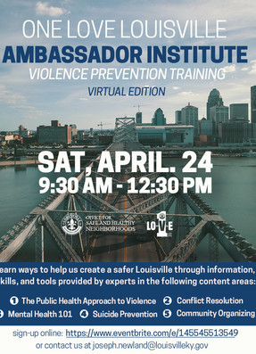 virtual ambassador institute crop original
