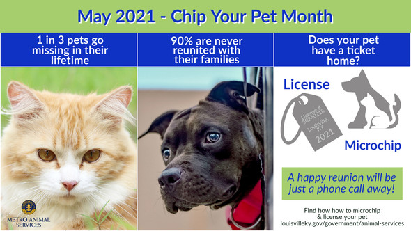 Chip Your Pet month