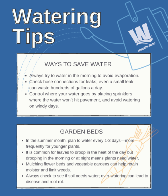 Water tips 1