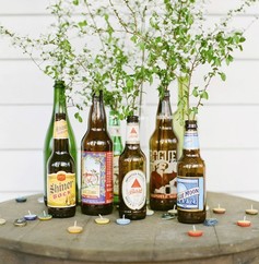Green Drinks Picture of beer bottles with plants growing out of them