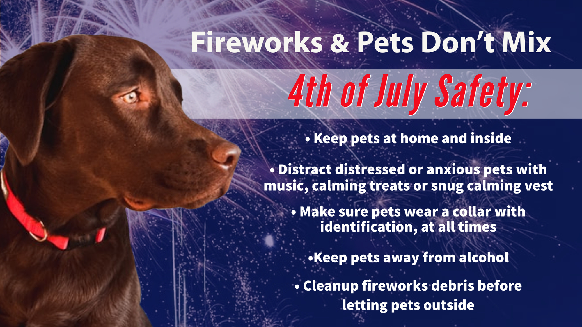 Pets and Fireworks