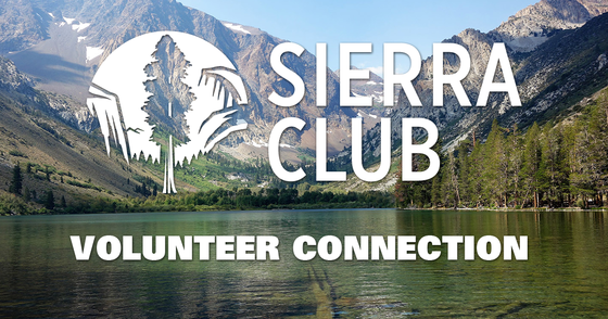 Volunteer with GLSC