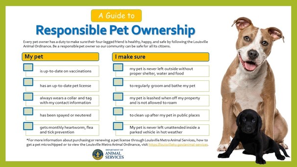 Responsible Dog Ownership