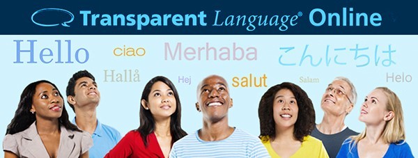 online language learning