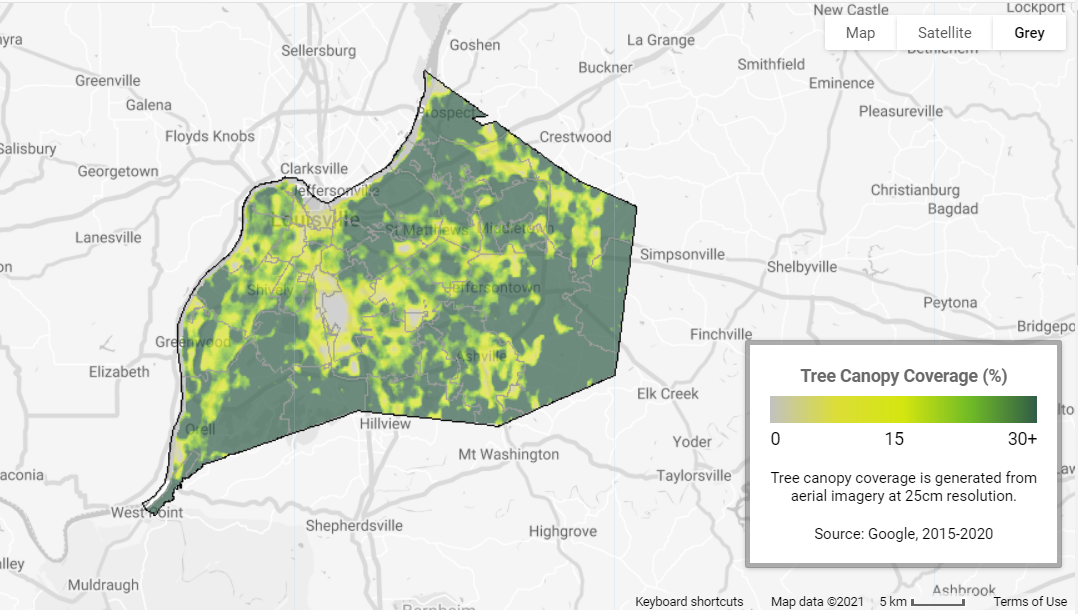 Google Tree Canopy Inights