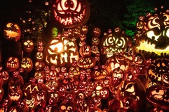 jack o lantern