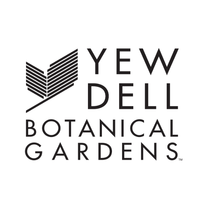 yew dell