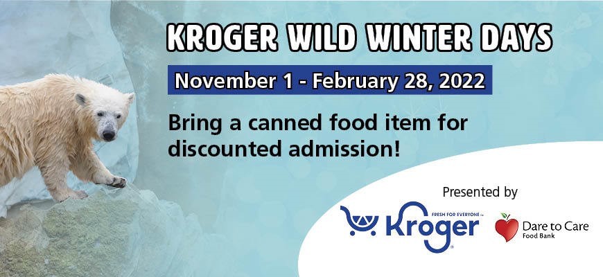 Zoo Wild Winter Days