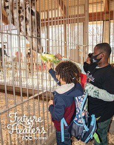 future healers zoo photo