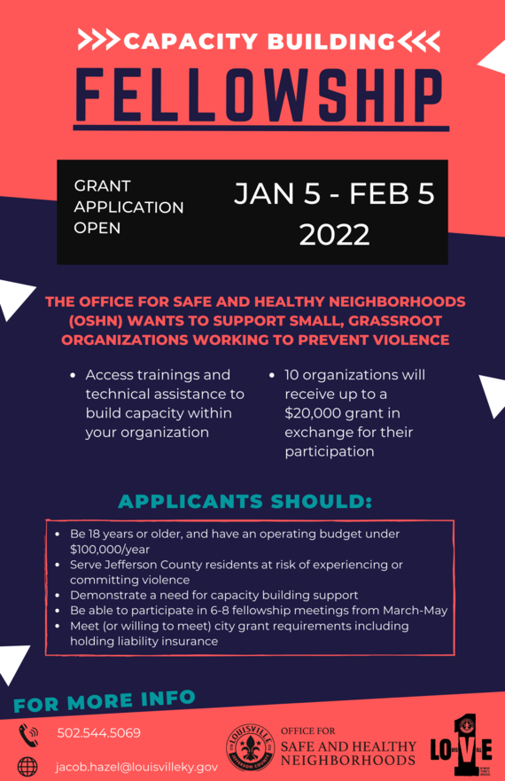 Capacity Building Fellowship