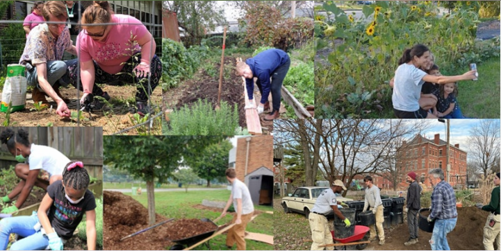 Louisville grows community garden photos