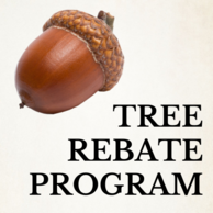 trees rebate