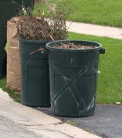 lawn waste photo