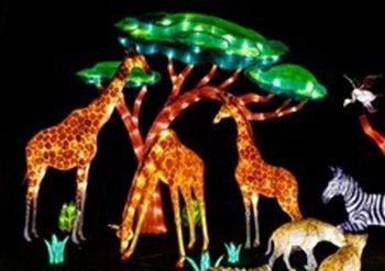 zoo wild lights