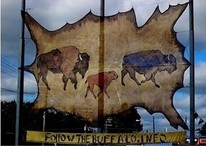 buffalo trail banner