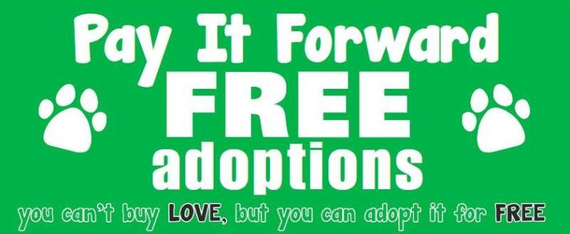 LMAS Free Adoptions