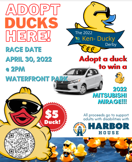 Adopt a duck