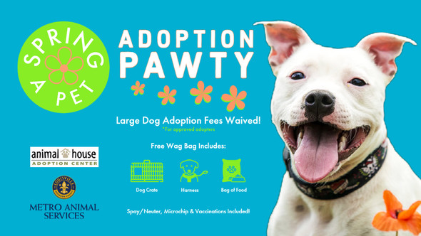 adoption promo