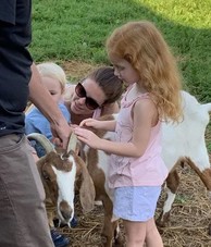 Blackacre Farm Feeding