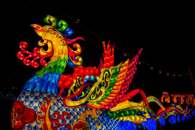 Zoo Wild Lights bird