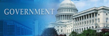 government