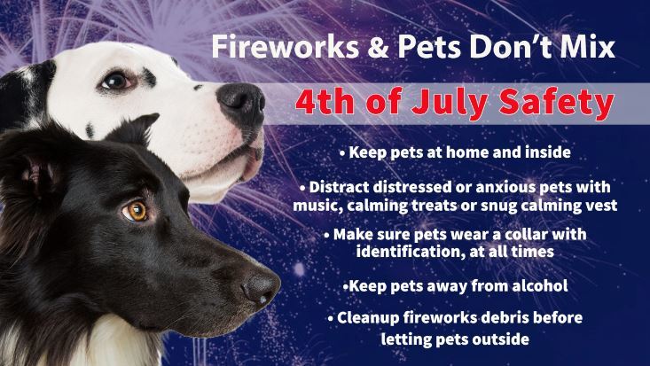 4th of July Pet care