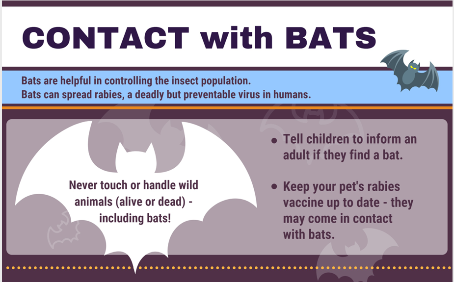 Public Health News & Alerts