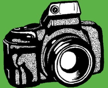 Olmsted photo contest