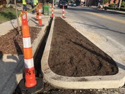 Curb extension on Bardstown Rd