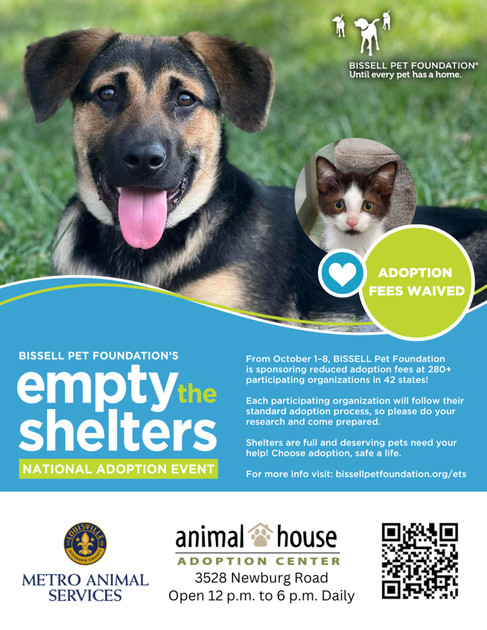 empty the shelters 