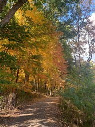 LNC fall hike