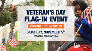 flags